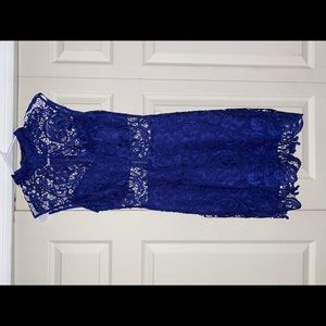 Royal Blue Lace Cocktail Dress